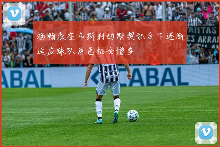 杨瀚森在韦斯利的默契配合下逐渐适应球队角色机会增多